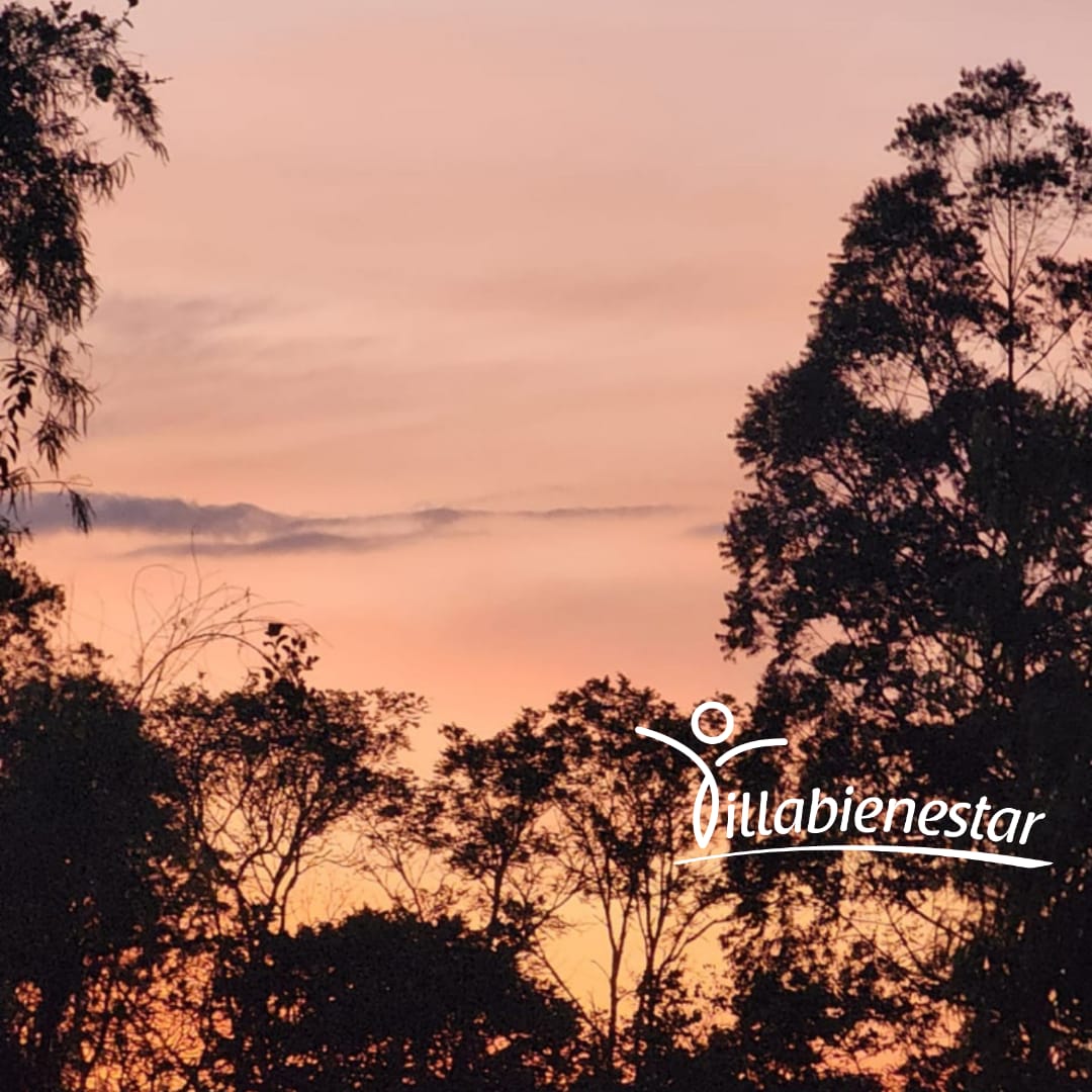 Cielo rosado y siluetas de árboles al atardecer